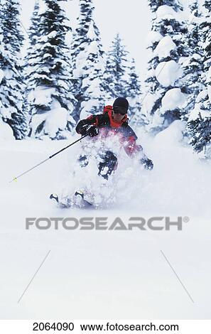 Young Man Skiing Fresh Powder At White Grizzly Adventures Catskiing, Meadow Creek, British Columbia, Canada. View Large Photo Image Stock Image - Young Man Skiing Fresh Powder At White Grizzly Adventures Catskiing, Meadow Creek, British Columbia, Canada.. Fotosearch