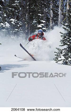 Young Man Skiing Fresh Powder In The Trees At Fernie Alpine Resort, Fernie, British Columbia, Canada View Large Photo Image Stock Photo - Young Man Skiing Fresh Powder In The Trees At Fernie Alpine Resort, Fernie, British Columbia, Canada. Fotosearch