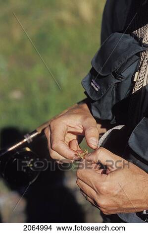 Young Man Tying Fly While Fly Fishing On Crowsnest River, Crowsnest Pass, Alberta, Canada. View Large Photo Image Picture - Young Man Tying Fly While Fly Fishing On Crowsnest River, Crowsnest Pass, Alberta, Canada.. Fotosearch