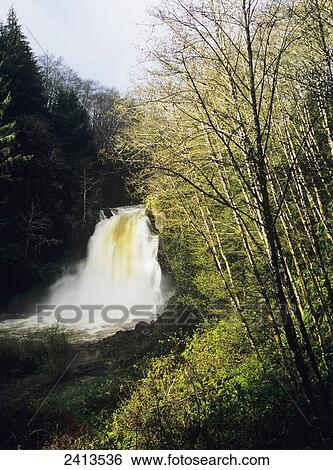 Stock Photograph - Youngs River plunges over the cliffs; Olney, Oregon, United States of America. Fotosearch