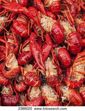 Ziaolongxia shellfish; Shanghai, China View Large Photo Image Stock Image - Ziaolongxia shellfish; Shanghai, China. Fotosearch
