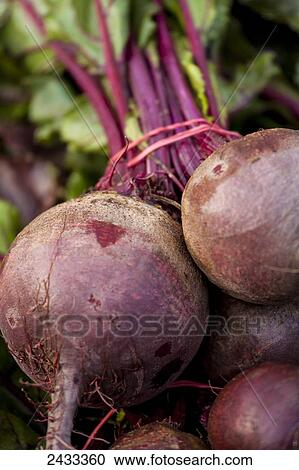 Stock Image - A bunch of Red Ace beets at the farmer's market; Toronto, Ontario, Canada. Fotosearch