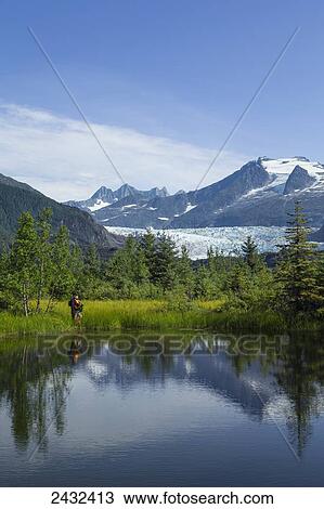 A hiker admires the beauty of the natural environment adjacent to Mendenhall Lake and Mendenhall Glacier on a summer morning, Juneau, Alaska. View Large Photo Image Stock Image - A hiker admires the beauty of the natural environment adjacent to Mendenhall Lake and Mendenhall Glacier on a summer morning, Juneau, Alaska.. Fotosearch
