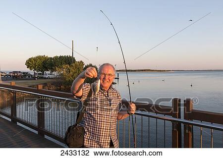 A man holds a small fish as his fishing catch from the water's edge on the coast; Caloundra, Queensland, Australia View Large Photo Image Stock Image - A man holds a small fish as his fishing catch from the water's edge on the coast; Caloundra, Queensland, Australia. Fotosearch