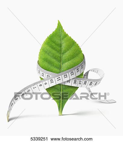 Stock Image - A measuring tape around a green leaf. Fotosearch