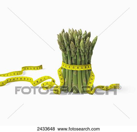 A measuring tape wrapped around a bundle of asparagus View Large Photo Image Stock Photo - A measuring tape wrapped around a bundle of asparagus. Fotosearch