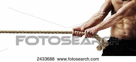 A muscular man pulling on a rope View Large Photo Image Stock Photo - A muscular man pulling on a rope. Fotosearch