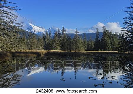 A quiet pond along the trail to Point Bridget, near Juneau, Coast Mountains beyond in the distance. View Large Photo Image Stock Photo - A quiet pond along the trail to Point Bridget, near Juneau, Coast Mountains beyond in the distance.. Fotosearch