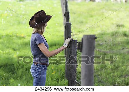 A woman in a cowboy hat stands at a fence watching a flock of sheep; Ellston, Iowa, United States of America View Large Photo Image Stock Photograph - A woman in a cowboy hat stands at a fence watching a flock of sheep; Ellston, Iowa, United States of America. Fotosearch