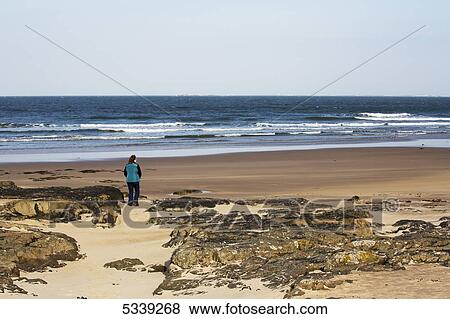 Stock Photo - A woman stands on a beach looking out to the ocean; Northumberland, England. Fotosearch