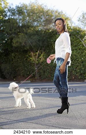 Stock Image - A woman walking her white dog; San Francisco, California, United States of America. Fotosearch