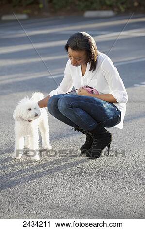 A woman walking her white dog; San Francisco, California, United States of America View Large Photo Image Stock Image - A woman walking her white dog; San Francisco, California, United States of America. Fotosearch