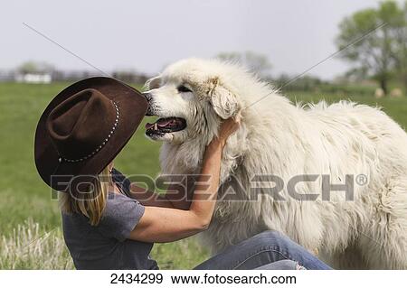 Stock Photo - A woman with her large white dog on farmland; Ellston, Iowa, United States of America. Fotosearch