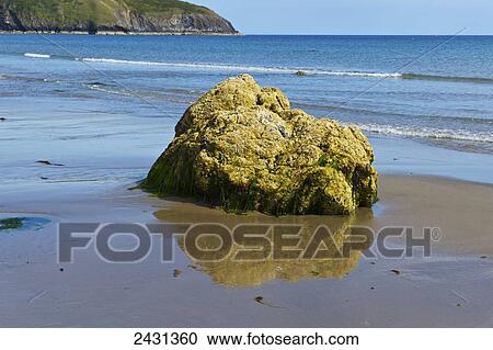 Aberdaron Beach, Llyn Peninsula; North Wales View Large Photo Image Stock Image - Aberdaron Beach, Llyn Peninsula; North Wales. Fotosearch