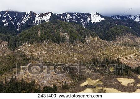 Aerial view of clearcut logging operation outside of Yakutat, Southeast Alaska; Alaska, United States of America View Large Photo Image Stock Image - Aerial view of clearcut logging operation outside of Yakutat, Southeast Alaska; Alaska, United States of America. Fotosearch