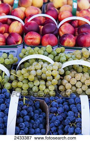 Baskets of purple and green grapes and ripe necatarines at a farmers market; Toronto, Ontario, Canada View Large Photo Image Stock Photo - Baskets of purple and green grapes and ripe necatarines at a farmers market; Toronto, Ontario, Canada. Fotosearch
