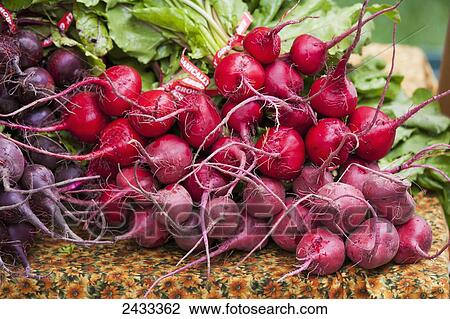Stock Image - Candy-striped, heirloom Chioggia Beets at a farmers market; Toronto, Ontario, Canada. Fotosearch