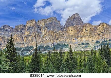Picture - Castle Mountain and coniferous trees, Banff National Park; Alberta, Canada. Fotosearch