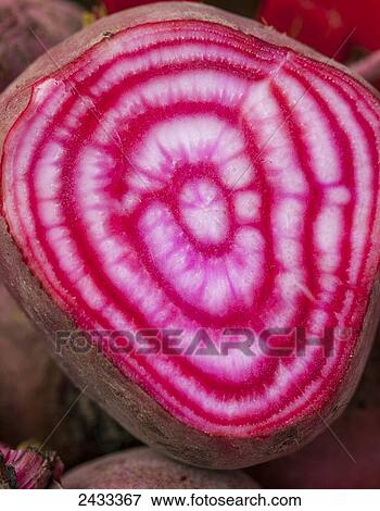 Stock Photo - Chiogga beet cut in half to reveal the red and white candy-stripes; Toronto, Ontario, Canada. Fotosearch