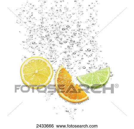 Stock Photograph - Citrus slices floating in water. Fotosearch