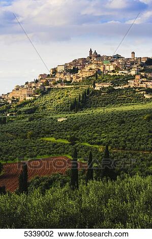 City on a hilltop with fields of crops below; Trevi, Umbria, Italy View Large Photo Image Stock Image - City on a hilltop with fields of crops below; Trevi, Umbria, Italy. Fotosearch