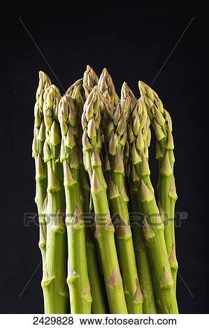 Close up of a bunch of asparagus against a black background; Calgary, Alberta, Canada View Large Photo Image Stock Photo - Close up of a bunch of asparagus against a black background; Calgary, Alberta, Canada. Fotosearch