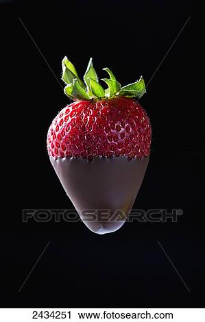 Close up of a half chocolate dipped strawberry on black background; Calgary, Alberta, Canada View Large Photo Image Stock Image - Close up of a half chocolate dipped strawberry on black background; Calgary, Alberta, Canada. Fotosearch