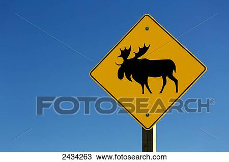 Close up of moose road sign and blue sky; Alberta, Canada View Large Photo Image Stock Image - Close up of moose road sign and blue sky; Alberta, Canada. Fotosearch