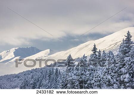 Stock Image - Clouds clearing from the Kenai Mountains above Turnagain Pass after a winter snow storm, fresh snow in the trees, early morning sun, Turnagain Pass, Chugach National Forest, Southcentral Alaska, USA.. Fotosearch