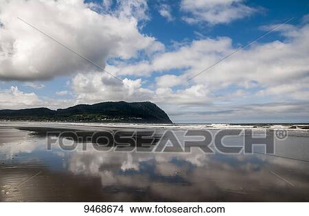 Clouds reflect on a beach near Tillamook Head; Seaside, Oregon, United States of America View Large Photo Image Picture - Clouds reflect on a beach near Tillamook Head; Seaside, Oregon, United States of America. Fotosearch