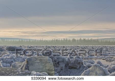 Dawn rises over Old Crow after the Porcupine River has broken up, with ice flowing down the river toward the Yukon River; Old Crow, Yukon, Canada View Large Photo Image Picture - Dawn rises over Old Crow after the Porcupine River has broken up, with ice flowing down the river toward the Yukon River; Old Crow, Yukon, Canada. Fotosearch