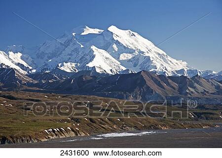 Stock Image - Denali (Mt. McKinley) from near Eielson Visitors Center along the Denali National Park road, Interior Alaska; Alaska, United States of America. Fotosearch