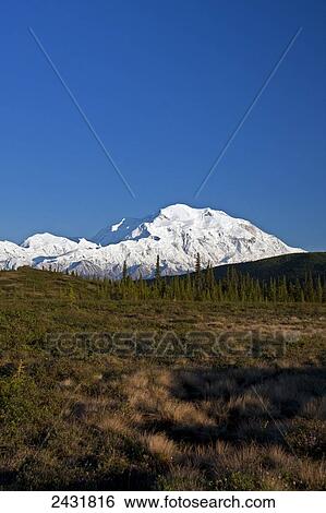 Stock Photograph - Denali (Mt. McKinley) from near Wonder Lake along the Denali National Park road, Interior Alaska; Alaska, United States of America. Fotosearch