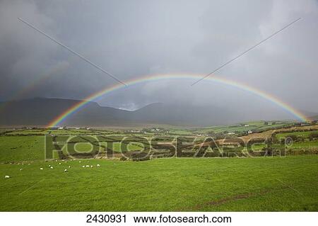 Double rainbow over the lush green farmland with grazing sheep; County Kerry, Ireland View Large Photo Image Stock Image - Double rainbow over the lush green farmland with grazing sheep; County Kerry, Ireland. Fotosearch