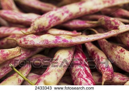 Stock Image - Dragon Tongue beans at a farmers market; Toronto, Ontario, Canada. Fotosearch