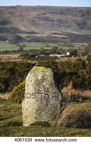 Dreaming Stone at edge of 16 blue stones that form an egg-shaped ring at Gors Fawr Stone Circle in a field near village of Mynachlog-ddu; Pembrokeshire, Wales View Large Photo Image Stock Photo - Dreaming Stone at edge of 16 blue stones that form an egg-shaped ring at Gors Fawr Stone Circle in a field near village of Mynachlog-ddu; Pembrokeshire, Wales. Fotosearch