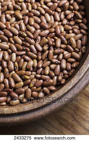 Dried, heirloom 'Arikara Yellow' beans; Toronto, Ontario, Canada View Large Photo Image Stock Photography - Dried, heirloom 'Arikara Yellow' beans; Toronto, Ontario, Canada. Fotosearch