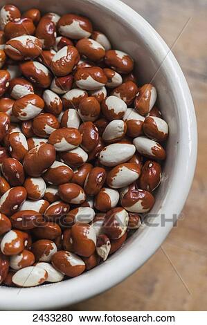 Dried heirloom Donna Giovanna beans; Toronto, Ontario, Canada View Large Photo Image Stock Image - Dried heirloom Donna Giovanna beans; Toronto, Ontario, Canada. Fotosearch