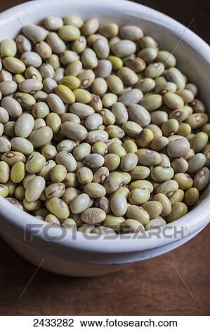 Dried heirloom Hutterite Soup beans; Toronto, Ontario, Canada View Large Photo Image Stock Image - Dried heirloom Hutterite Soup beans; Toronto, Ontario, Canada. Fotosearch