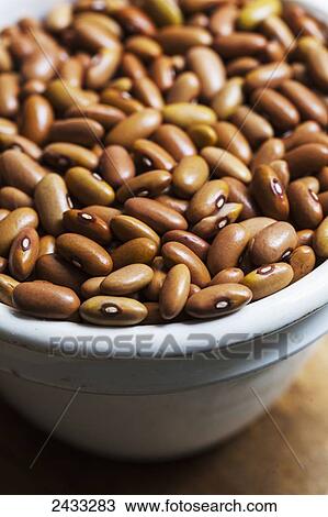 Dried heirloom Ireland Creek Annie beans; Toronto, Ontario, Canada View Large Photo Image Stock Image - Dried heirloom Ireland Creek Annie beans; Toronto, Ontario, Canada. Fotosearch