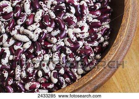 Stock Photography - Dried heirloom Jacob's cattle beans; Toronto, Ontario, Canada. Fotosearch