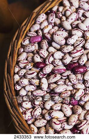 Dried heirloom Romano beans; Toronto, Ontario, Canada View Large Photo Image Stock Image - Dried heirloom Romano beans; Toronto, Ontario, Canada. Fotosearch