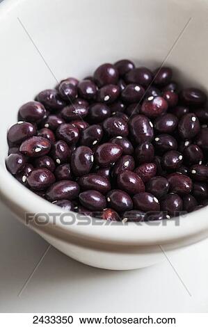 Dried heirloom True Red Cranberry beans; Toronto, Ontario, Canada View Large Photo Image Stock Image - Dried heirloom True Red Cranberry beans; Toronto, Ontario, Canada. Fotosearch