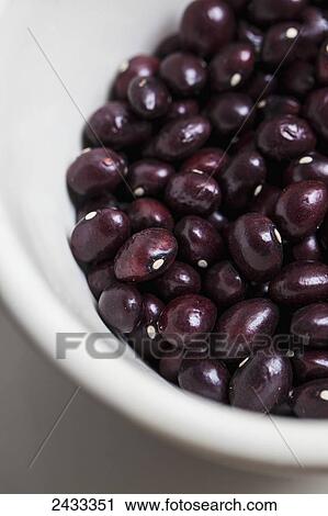 Stock Image - Dried heirloom True Red Cranberry beans; Toronto, Ontario, Canada. Fotosearch