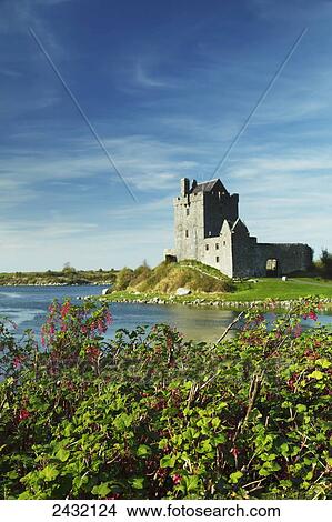 Dunguaire castle on the Wild Atlantic Way coastal route; Kinvara, County Galway, Ireland View Large Photo Image Picture - Dunguaire castle on the Wild Atlantic Way coastal route; Kinvara, County Galway, Ireland. Fotosearch