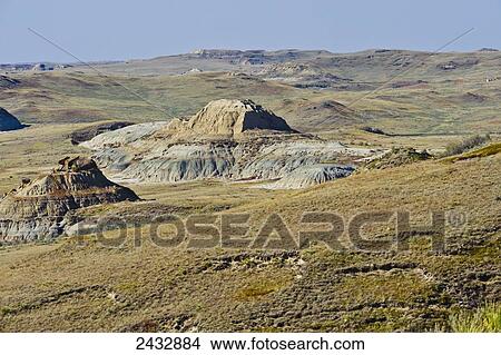 Picture - Eroded hill in a pasture on the Little Missouri National Grasslands; North Dakota, United States of America. Fotosearch