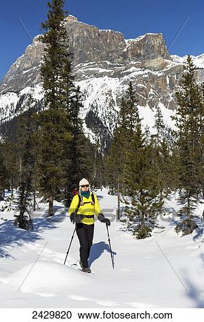 Stock Image - Female snowshoeing with poles, mountain in the background with blue sky; Field, British Columbia, Canada. Fotosearch