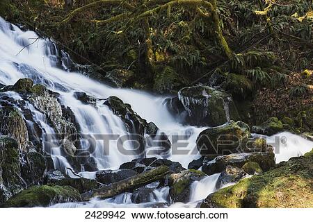 Stock Image - Fishhawk Falls is found at Lee Wooden County Park; Jewell, Oregon, United States of America. Fotosearch
