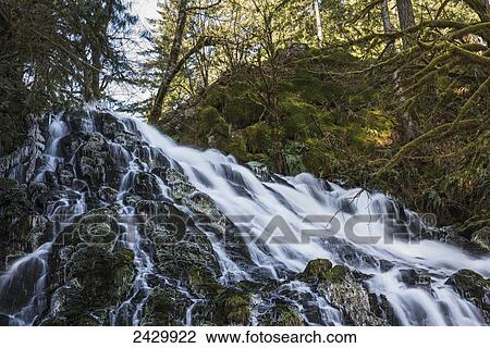Fishhawk Falls, Lee Wooden County Park; Jewell, Oregon, United States of America View Large Photo Image Stock Image - Fishhawk Falls, Lee Wooden County Park; Jewell, Oregon, United States of America. Fotosearch