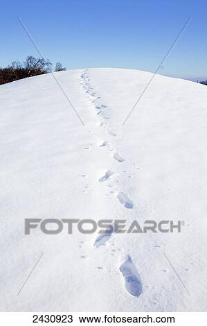 Stock Image - Footprints on a snowy hill; Bavaria, Germany. Fotosearch